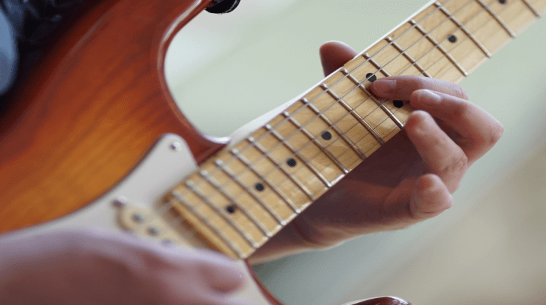 Become a professional musician